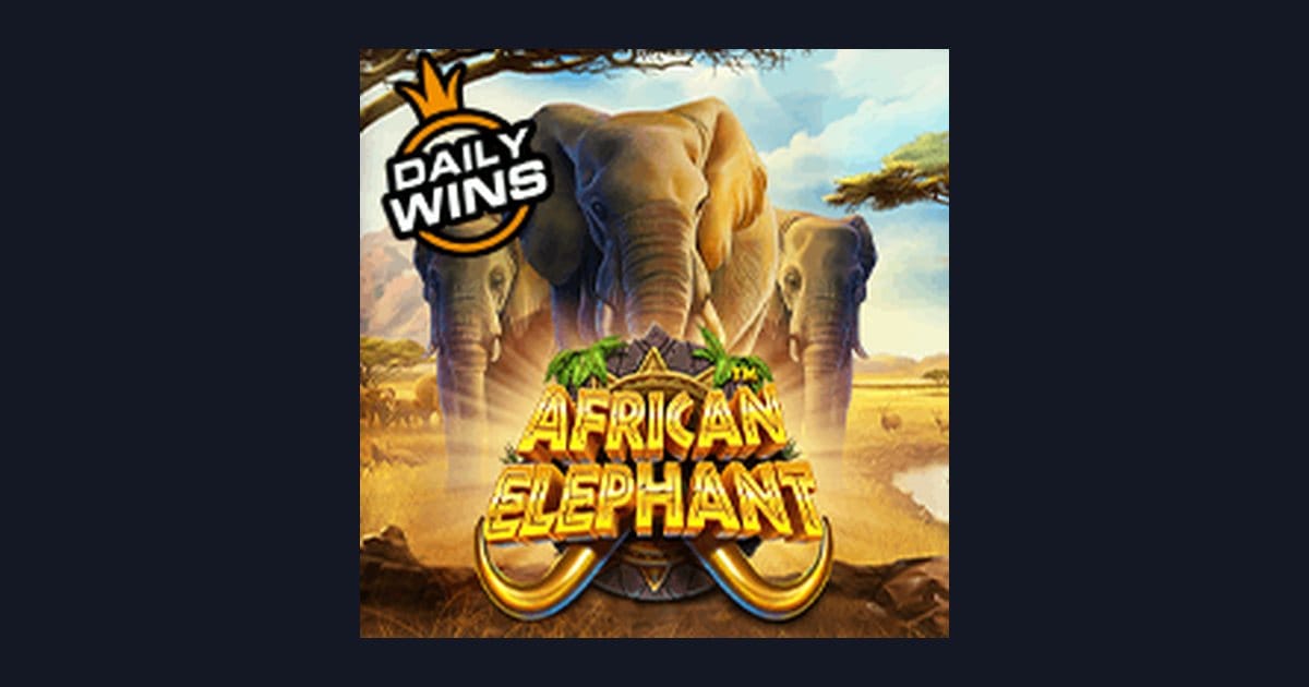 Tips Pola Maxwin African Elephant untuk Raih Kemenangan Optimal